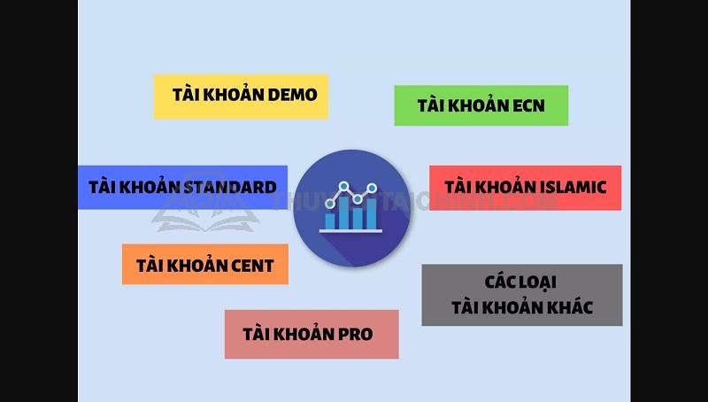Những loại tài khoản trong giao dịch Forex
