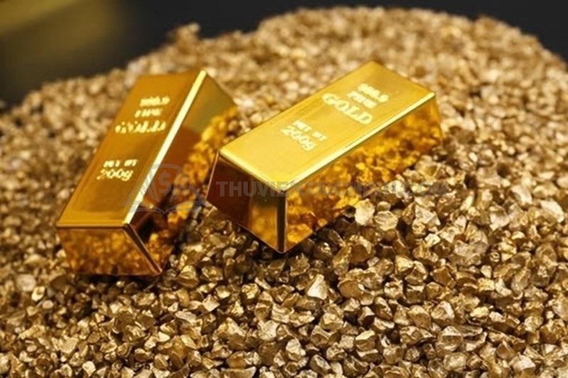 Giới thiệu về vàng tây và vàng ta