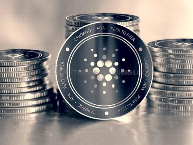 Nếu bạn muốn thành công trên thị trường không thể bỏ qua kiến thức về Cardano