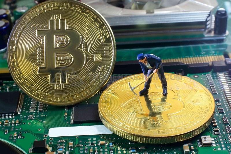 Đào Bitcoin là một thuật ngữ trong giao dịch tiền điện tử