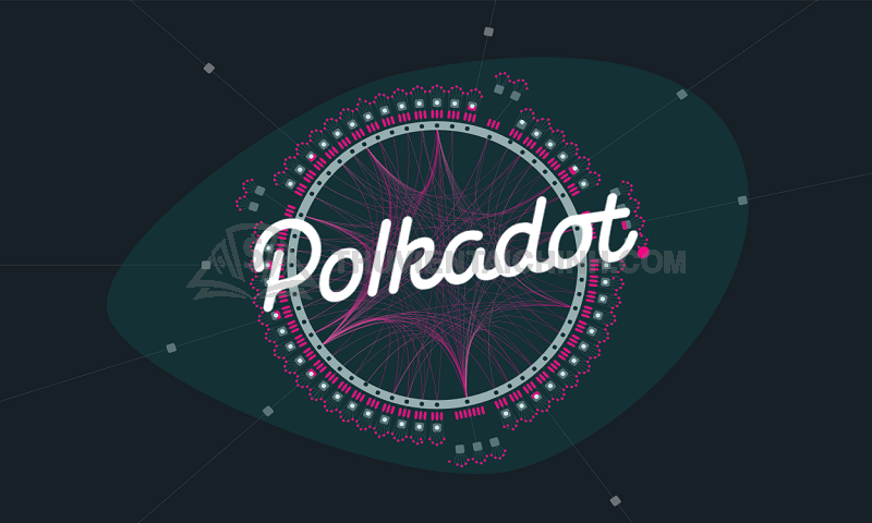Những thông tin liên quan đến Polkadot