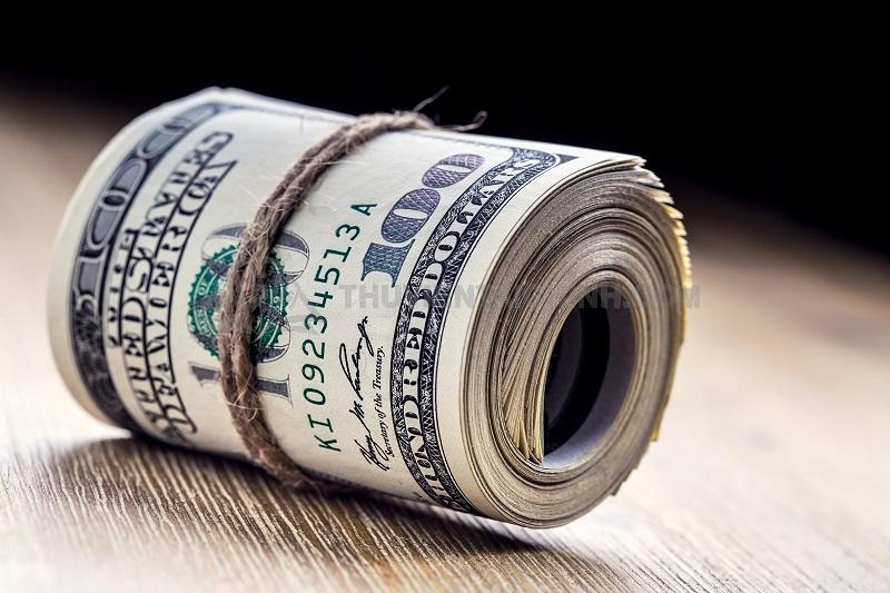 Những nhà đầu tư "cứng tay" khi mua USD Coin
