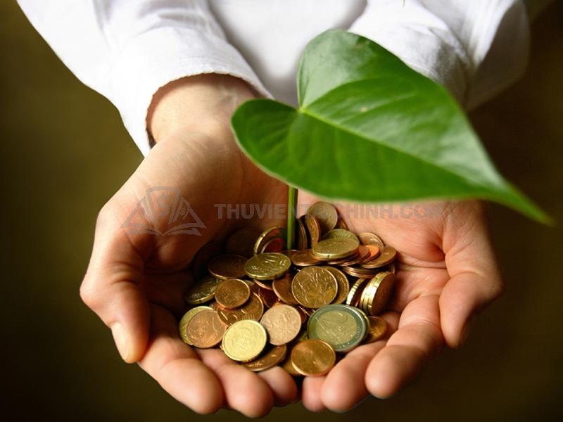 Nguồn vốn trong nước và nước ngoài