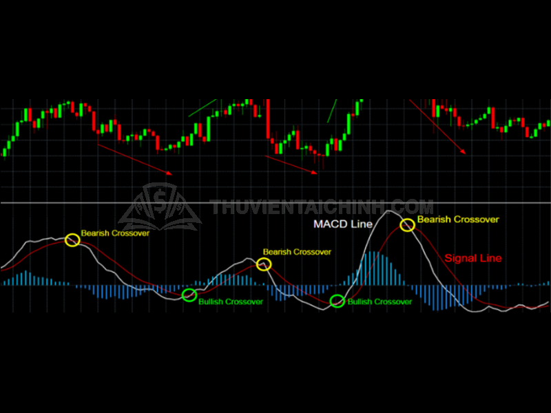 3 điểm “vàng” giúp trader xác nhận tín hiệu phân kỳ trong giao dịch
