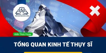 Khám phá nền kinh tế New Zealand có ảnh hưởng gì đến toàn cầu