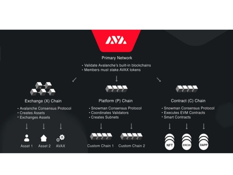Chuỗi hợp đồng C-chain