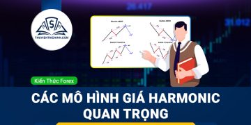 Các mô hình giá Harmonic quan trọng thường gặp trong forex