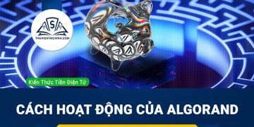 Algorand là gì? Cách hoạt động của Algorand và vai trò của đồng ALGO
