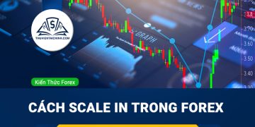 Cách scale in trong giao dịch ngoại hối