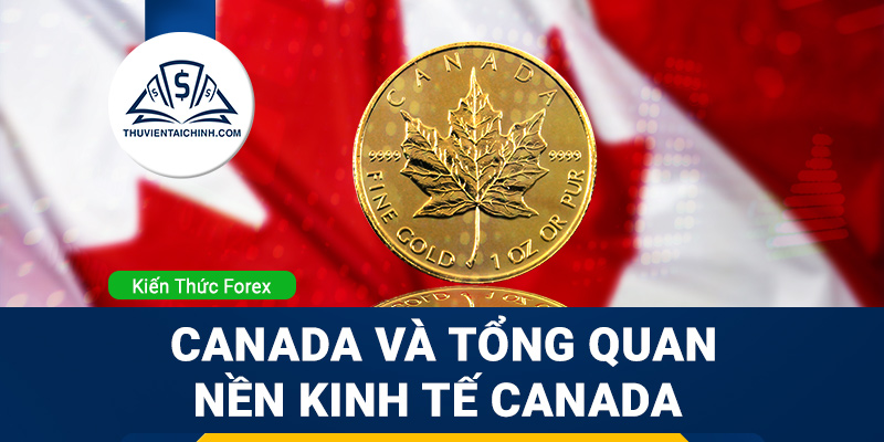 Mối quan hệ thị trường Forex với thị trường cổ phiếu quốc tế