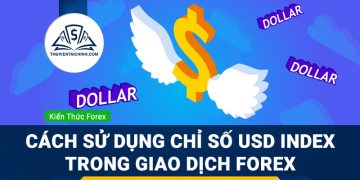 Cách Sử Dụng Chỉ Số USD Index Trong Giao Dịch Forex