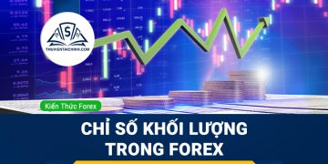 Chỉ số khối lượng trong Forex