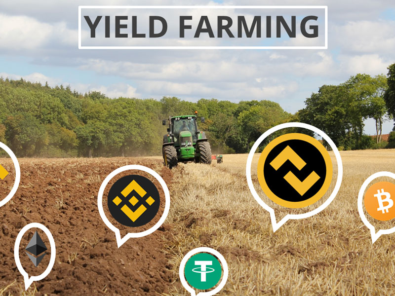 Tại sao Yield Farming lại bùng nổ?