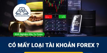 Có mấy loại tài khoản forex ? Trader mới nên chọn tài khoản nào ?