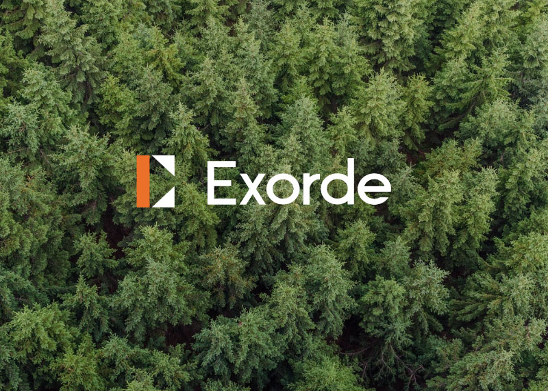 Dự án Exorde Labs
