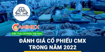 Nhận định đánh giá cổ phiếu CMX trong năm 2023