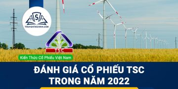 Nhận định đánh giá cổ phiếu TSC trong năm 2023