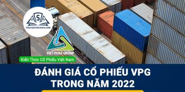 Nhận định đánh giá cổ phiếu VPG trong năm 2023