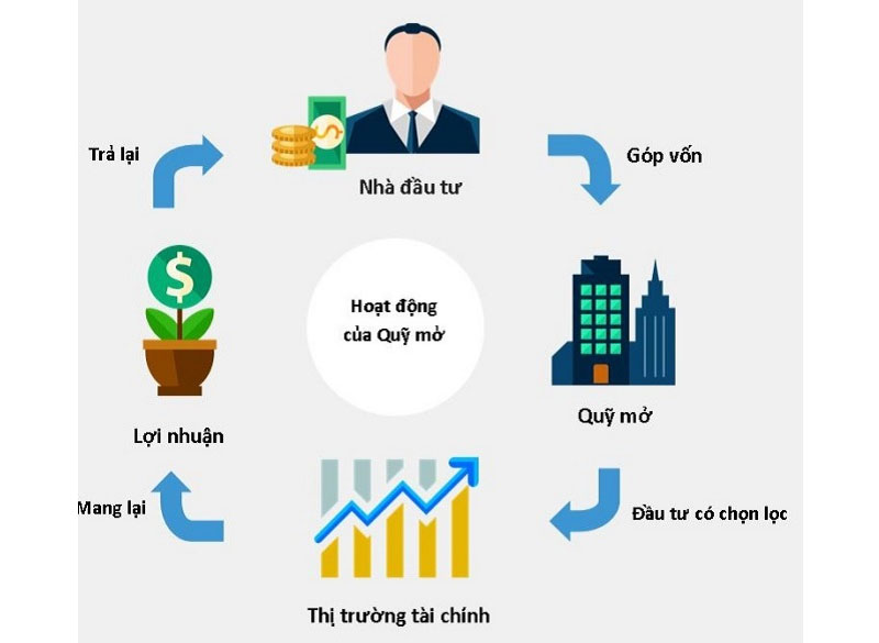 Tại sao các nhà đầu tư nên chọn đầu tư chứng chỉ quỹ?