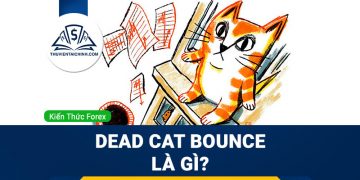 Dead Cat Bounce là gì? Hướng dẫn giao dịch với mô hình cú nảy mèo chết