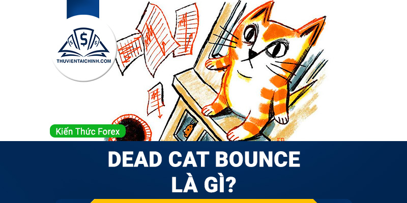 Dead Cat Bounce là gì? Hướng dẫn giao dịch với mô hình cú nảy mèo chết