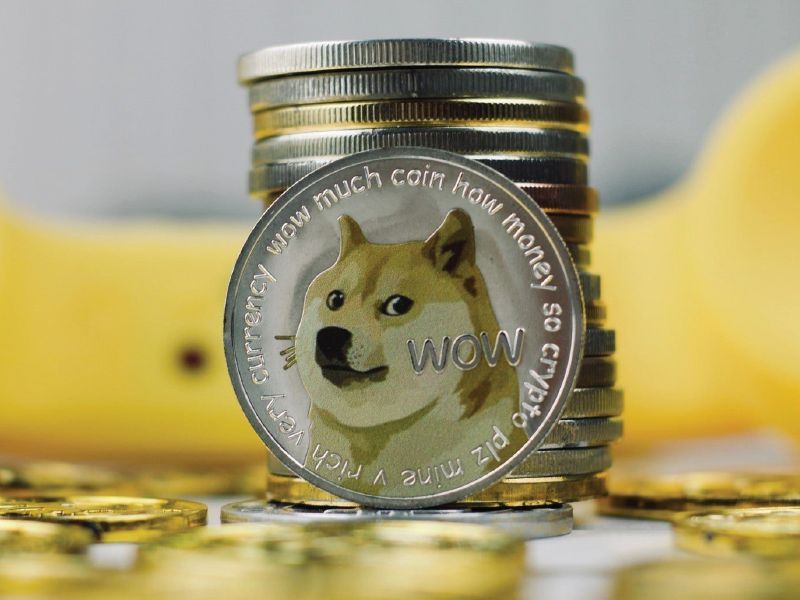 Làm thế nào để sở hữu được Dogecoin?