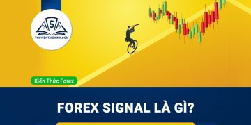 Forex signal là gì? Cách thức hoạt động của tín hiệu Forex