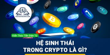 Hệ Sinh Thái Trong Crypto Là Gì ? Tìm hiểu các hệ sinh thái trong coin