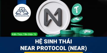 Hệ sinh thái Near Protocol (NEAR) gồm có những gì ?