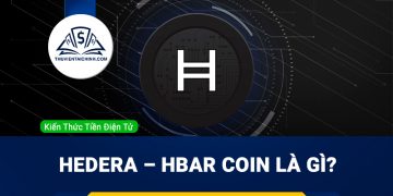 Hedera – HBAR coin là gì? Đánh giá tiềm năng của đồng Hedera?