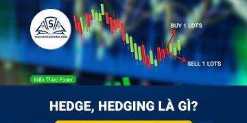 Hedge, Hedging là gì? Chiến lược sử dụng hedging phù hợp