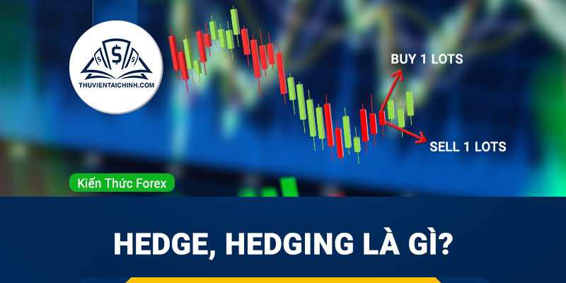 Hedge, Hedging là gì? Chiến lược sử dụng hedging phù hợp