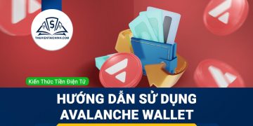 Hướng dẫn sử dụng Avalanche Wallet
