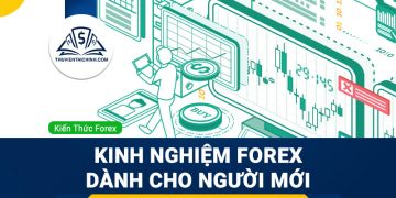 Kinh nghiệm forex: Các lưu ý dành cho người mới bắt đầu