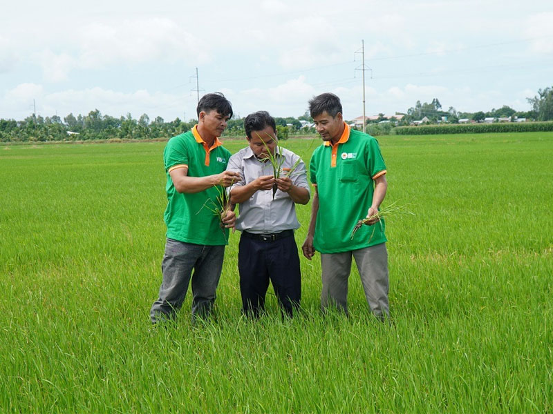 Đôi nét về Công ty Cổ phần Tập đoàn Lộc Trời