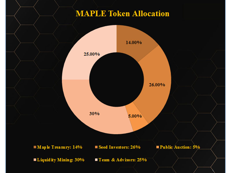 Token Allocation