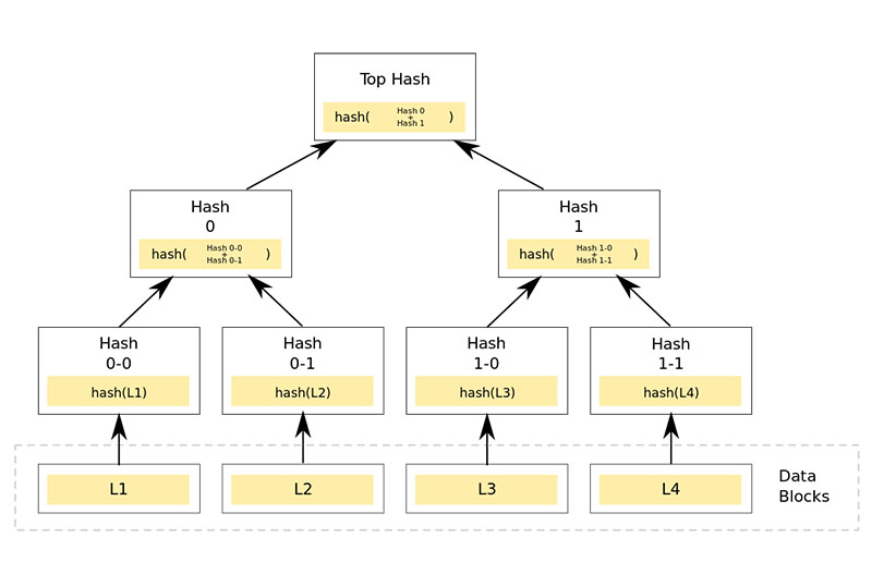 Merkle Tree là gì?