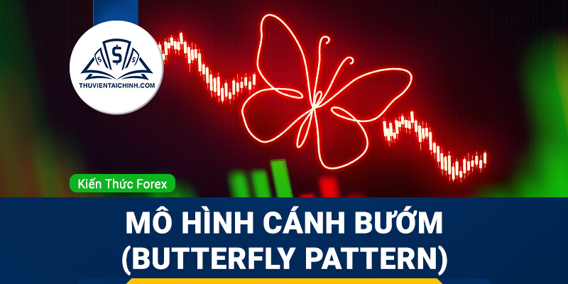 Mô hình Cánh bướm (Butterfly Pattern) là gì?