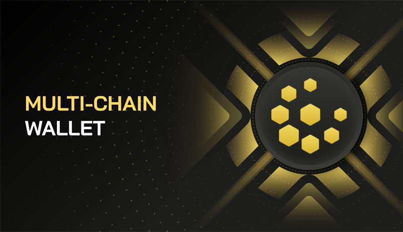 Multi-Chain Wallet là gì?