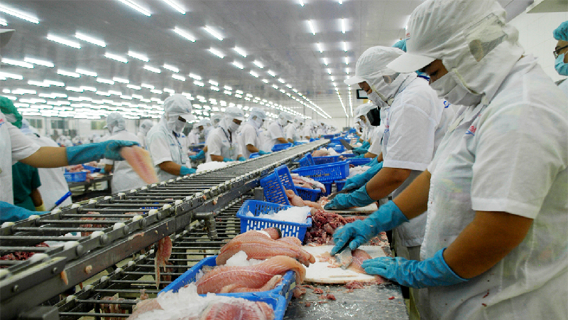 Cổ phiếu thủy sản
