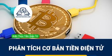 Phân tích cơ bản tiền điện tử là gì?