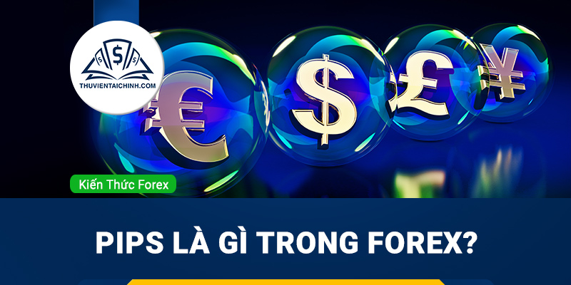 Pips là gì trong forex? Cách tính số pip trong forex