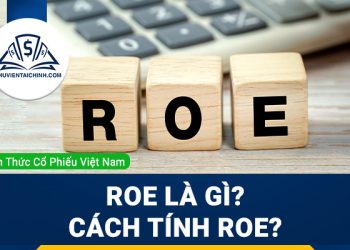 ROE là gì? Cách tính ROE? Chỉ số ROE bao nhiêu là tốt?