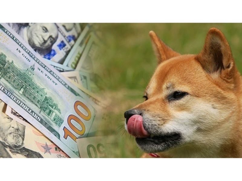Lưu trữ đồng token SHIB