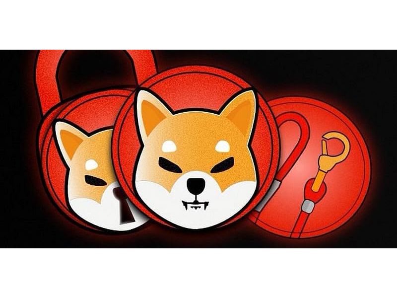 Cộng đồng tham gia SHIB đông đảo