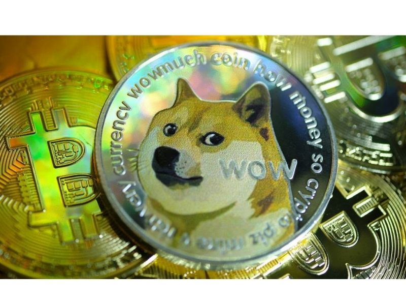 Điểm đặc biệt của Shiba Inu
