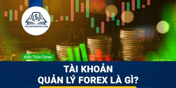 Tìm hiểu tài khoản quản lý Forex là gì?