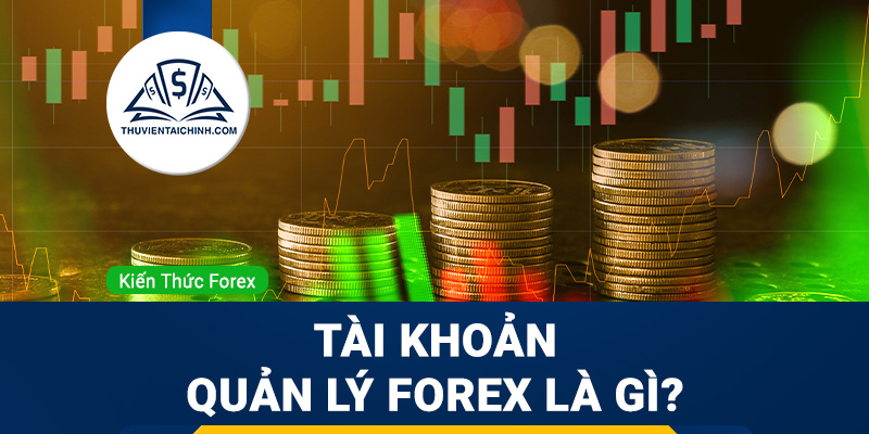 Tìm hiểu tài khoản quản lý Forex là gì?