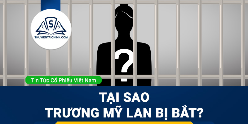 Tại sao Trương Mỹ Lan bị bắt?