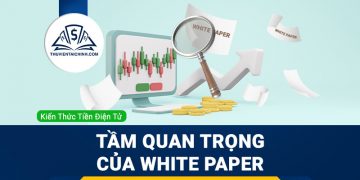 White Paper là gì? Tầm quan trọng của White Paper khi đầu tư Crypto